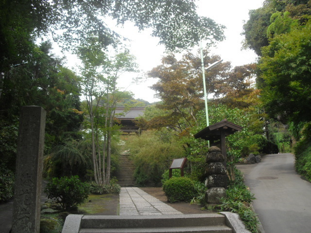 01) 鎌倉「海蔵寺」＿鎌倉市扇ケ谷＿10.10.14.JPG