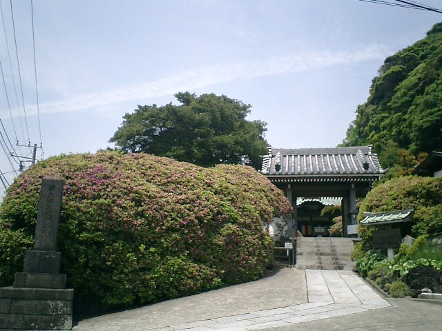 01)鎌倉市大町「安養院」.JPG