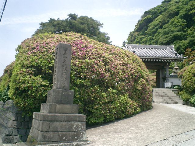 02)鎌倉市大町「安養院」.JPG