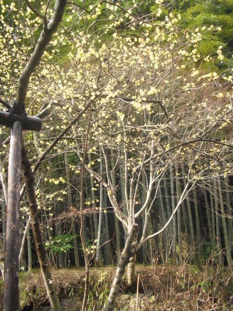 04).JPG