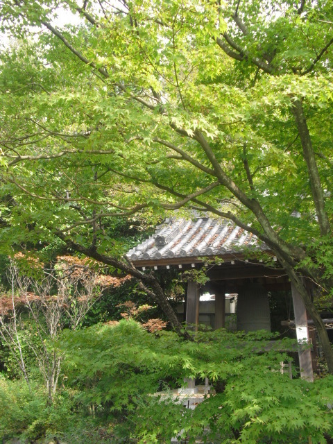 04) 真言宗「泉谷山 浄光明寺」.JPG