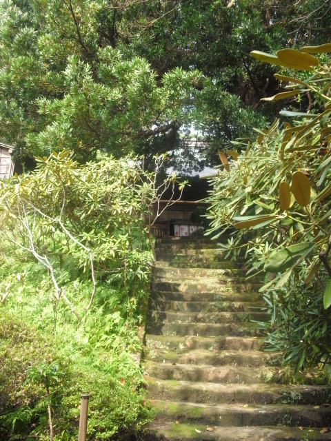 05) 真言宗「泉谷山 浄光明寺」.JPG