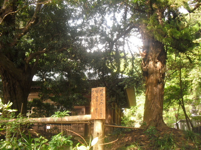 06) 真言宗「泉谷山 浄光明寺」.JPG