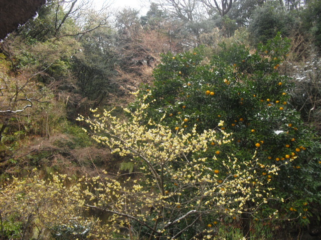 15).JPG
