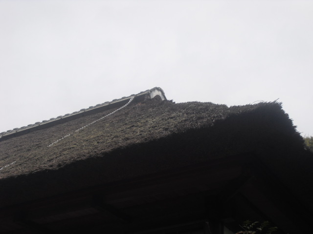22) 鎌倉「海蔵寺」＿鎌倉市扇ケ谷＿10.10.14.JPG
