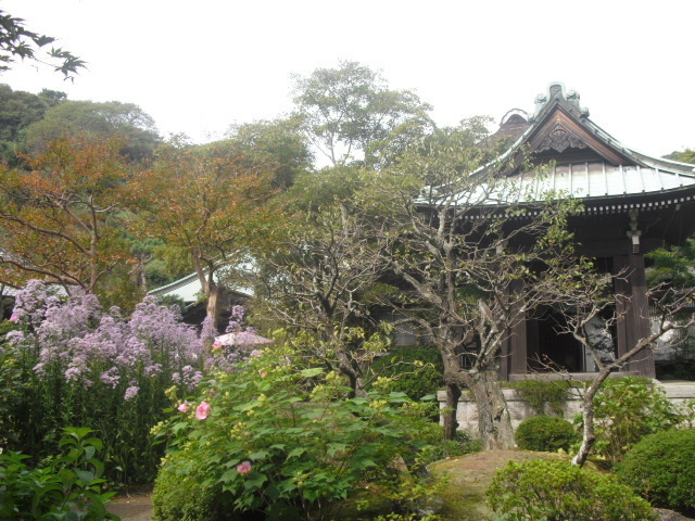 23) 鎌倉「海蔵寺」＿鎌倉市扇ケ谷＿10.10.14.JPG