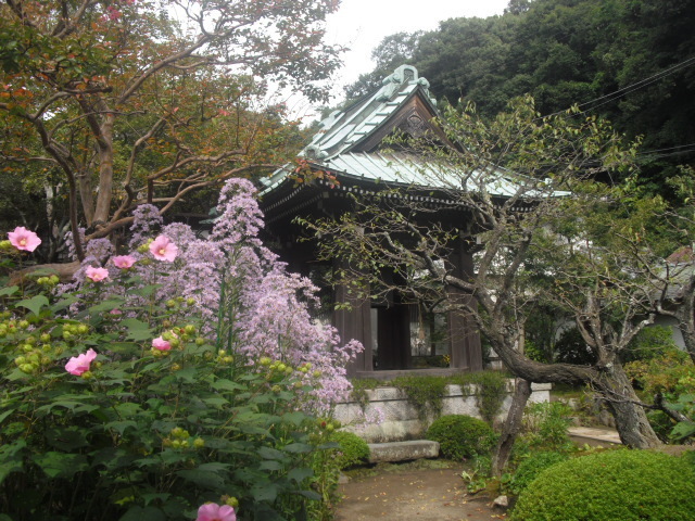 24) 鎌倉「海蔵寺」＿鎌倉市扇ケ谷＿10.10.14.JPG