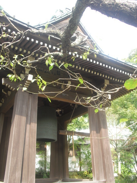 25) 鎌倉「海蔵寺」＿鎌倉市扇ケ谷＿10.10.14.JPG