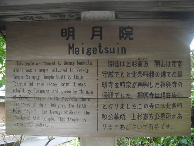 44).JPG