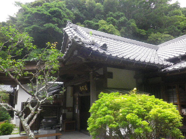 f02)   16.06.16　千三百年の貫禄！ 逗子「岩殿寺」  紫陽花の頃.JPG