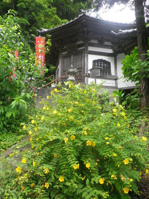 h01)   16.06.16　千三百年の貫禄！ 逗子「岩殿寺」  紫陽花の頃.JPG