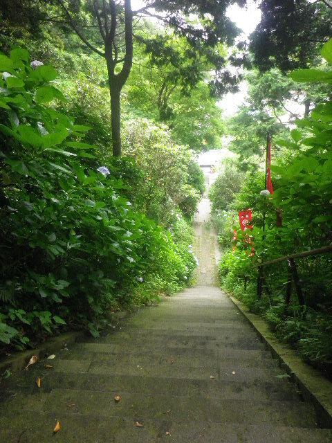 i02)   16.06.16　千三百年の貫禄！ 逗子「岩殿寺」  紫陽花の頃.JPG