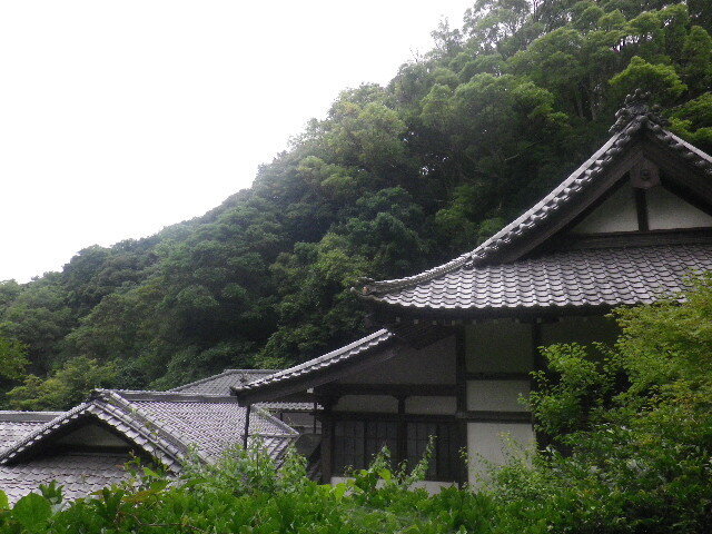 j07)   16.06.16　千三百年の貫禄！ 逗子「岩殿寺」  紫陽花の頃.JPG