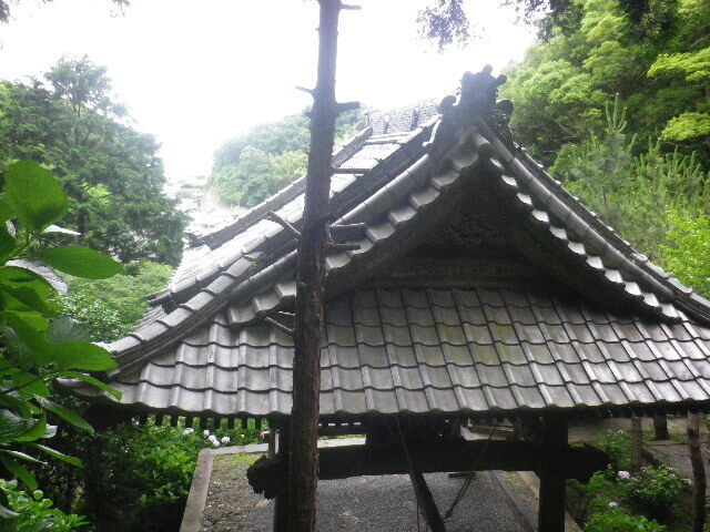 l03)   16.06.16　千三百年の貫禄！ 逗子「岩殿寺」  紫陽花の頃.JPG