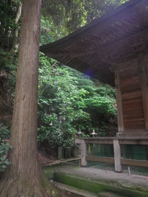 m06)   16.06.16　千三百年の貫禄！ 逗子「岩殿寺」  紫陽花の頃.JPG