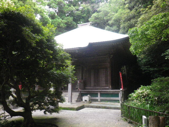 m07)   16.06.16　千三百年の貫禄！ 逗子「岩殿寺」  紫陽花の頃.JPG