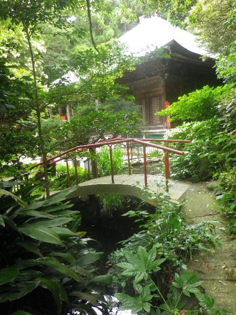 p02)   16.06.16　千三百年の貫禄！ 逗子「岩殿寺」  紫陽花の頃.JPG
