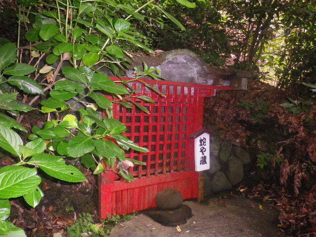 t01   16.06.16　千三百年の貫禄！ 逗子「岩殿寺」  紫陽花の頃).JPG