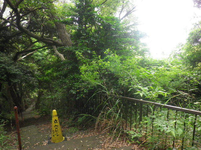 v04)   16.06.16　千三百年の貫禄！ 逗子「岩殿寺」  紫陽花の頃.JPG