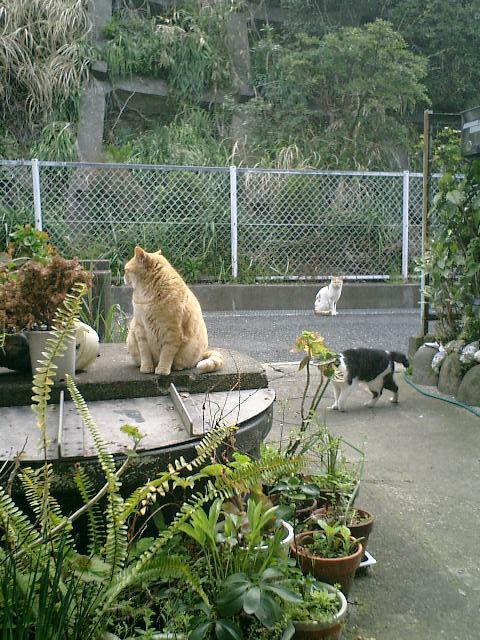 02).JPG