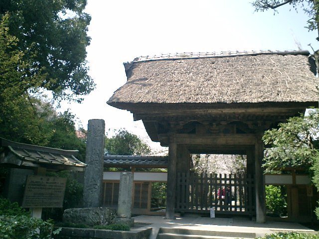 02)鎌倉「極楽寺」.JPG