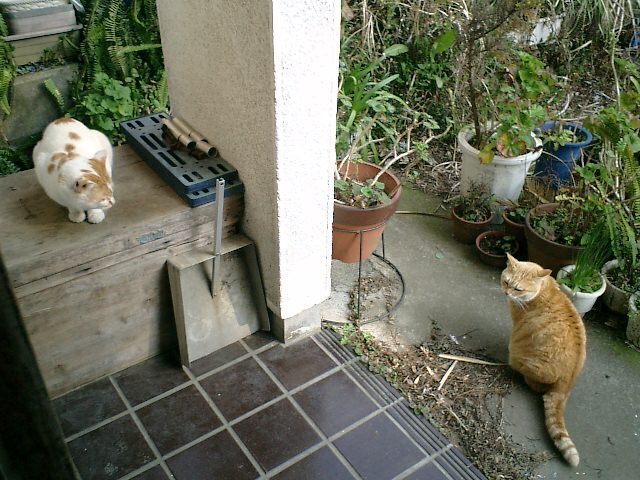 03).JPG