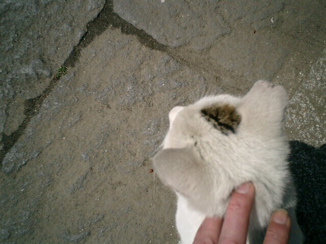 03).JPG