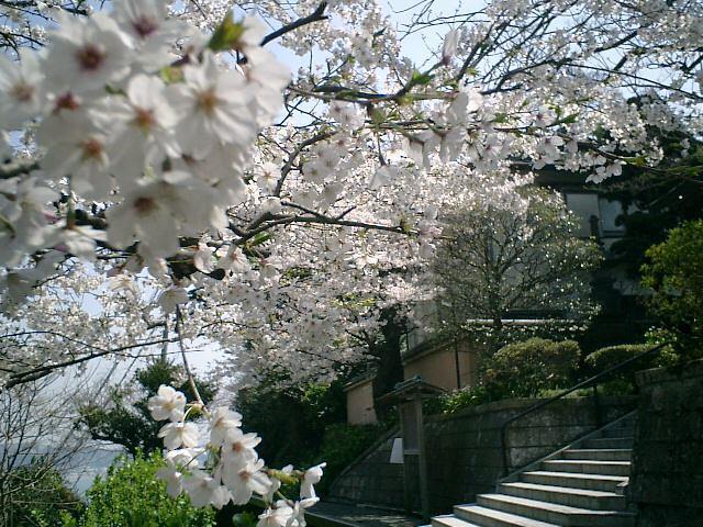 03)鎌倉市極楽寺「成就院」.JPG
