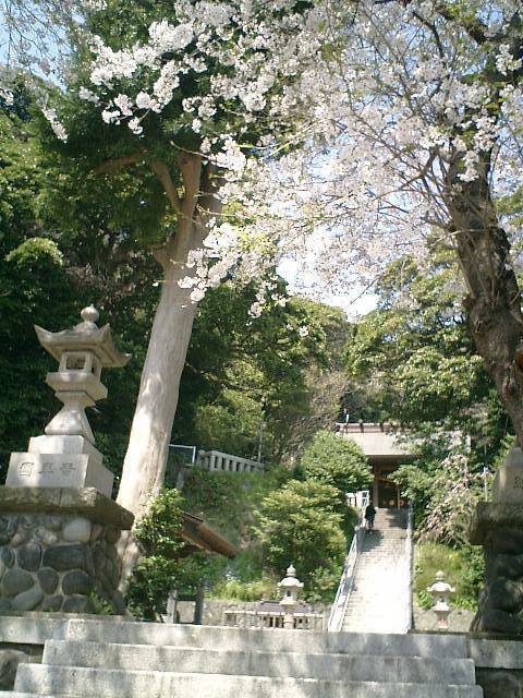 03)鎌倉市長谷「甘縄神明宮」.JPG