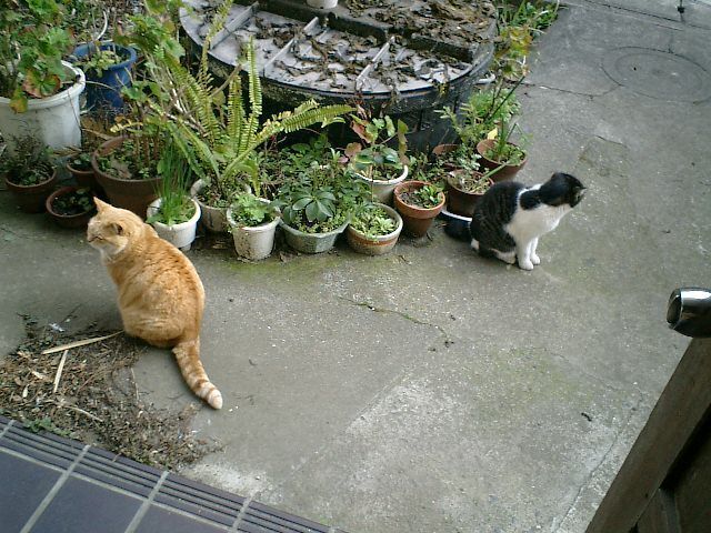 04).JPG