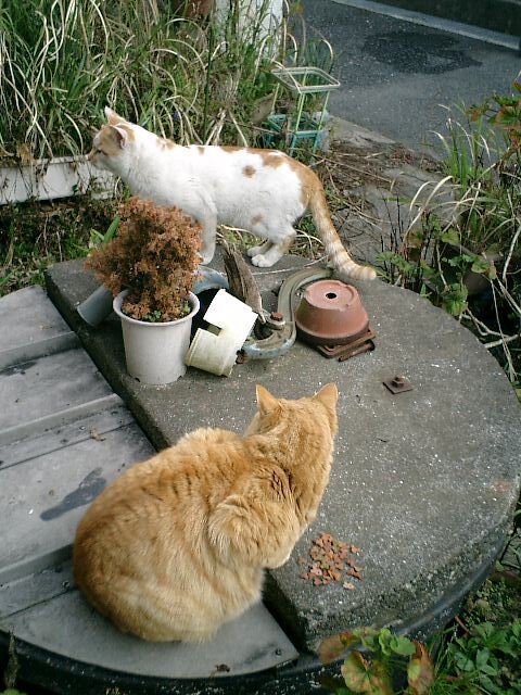 05).JPG