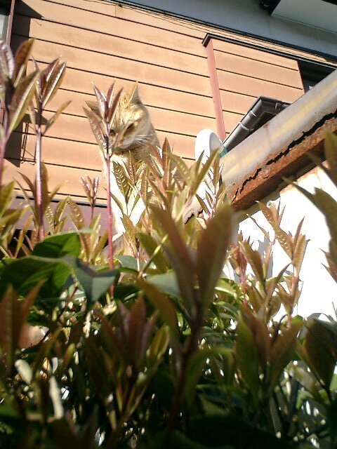 06).JPG