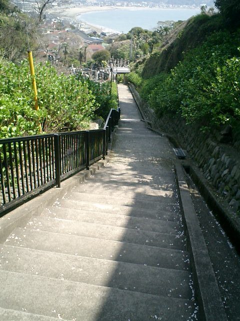 06)鎌倉市極楽寺「成就院」.JPG