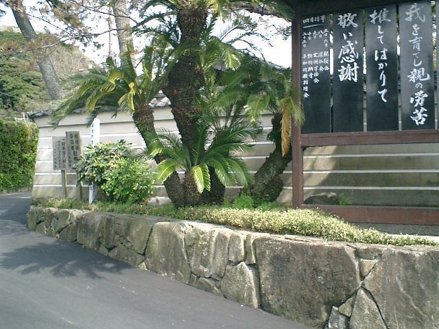 08).JPG