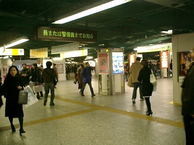 CIMG0013.JPG
