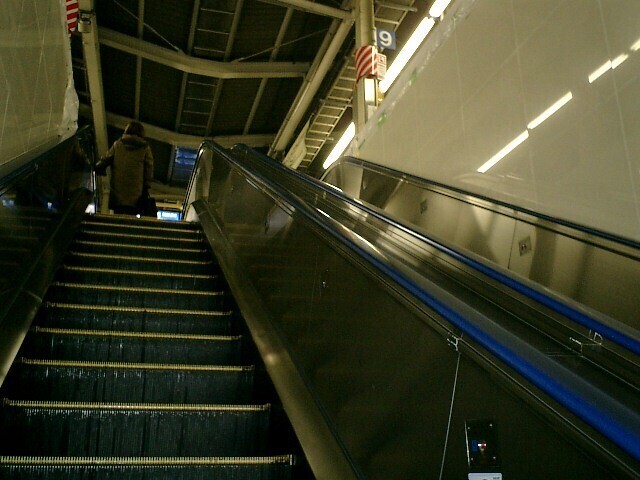 CIMG0016.JPG