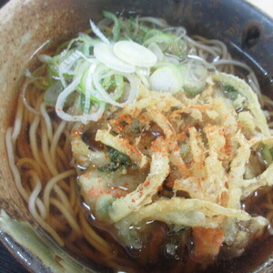 01-2) 25.02.03  かき揚げ天ぷらそば食った ＿ 京急「えきめんや 追浜駅店」横須賀市追浜  .JPG